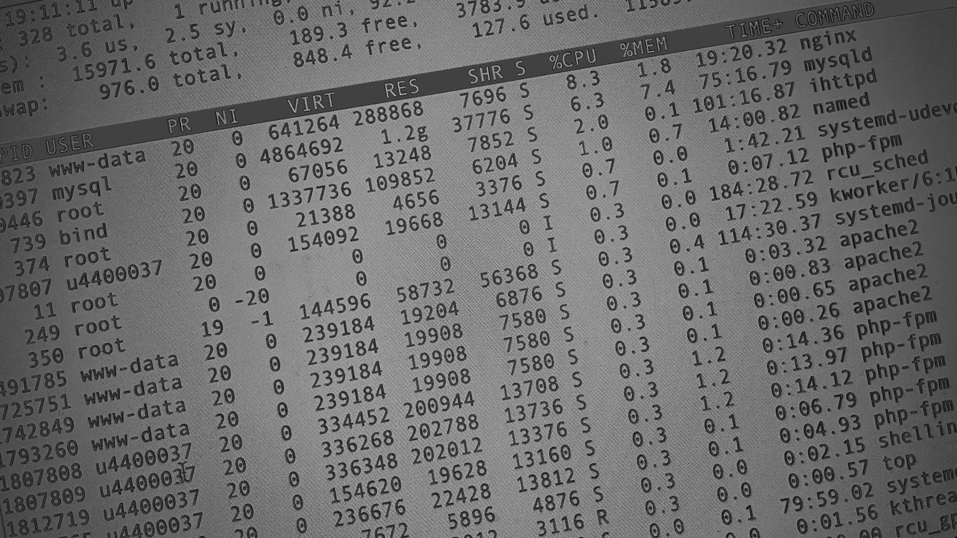 Настройка сервера в Бакале Настройка сервера в Бакале