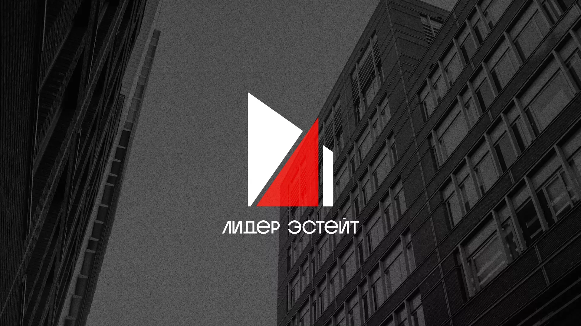 Сделали логотип для агентства недвижимости «Лидер Эстейт» в Бакале