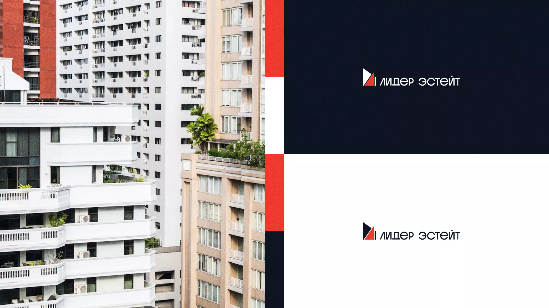 Сделали логотип для агентства недвижимости «Лидер Эстейт» в Бакале